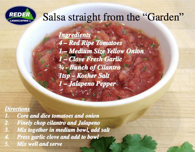 Salsa Recipe - Straight from the garden