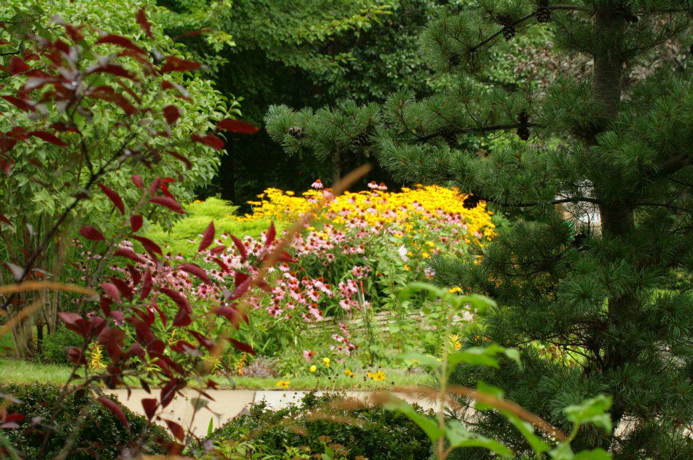 MNLA Tour - Landscape Surrounding Pond