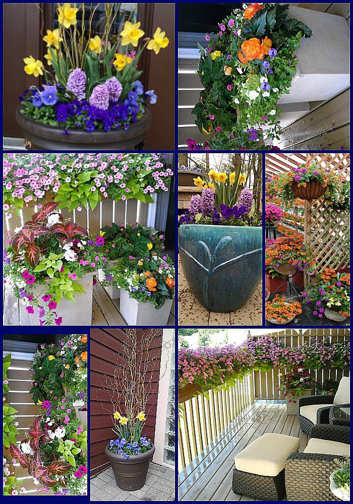 Just a few of Kathy's designs - Pinterest Ready!