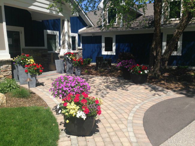 Entryway Container Gardens