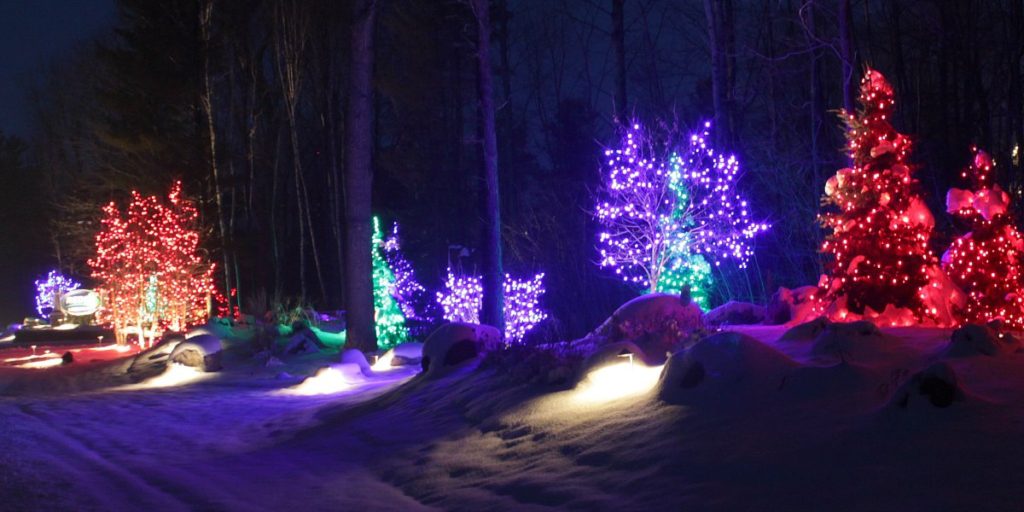 holiday-lighting-reder-landscaping-6