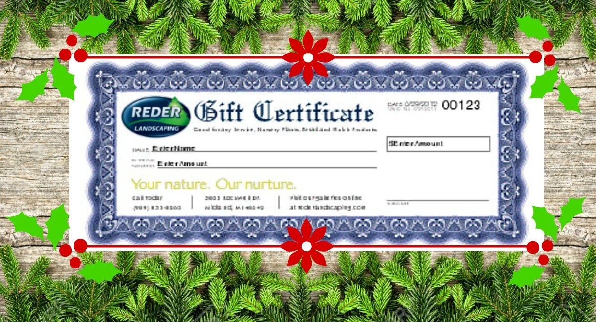 Our Gift Certificates Make a Perfect Holiday Gift