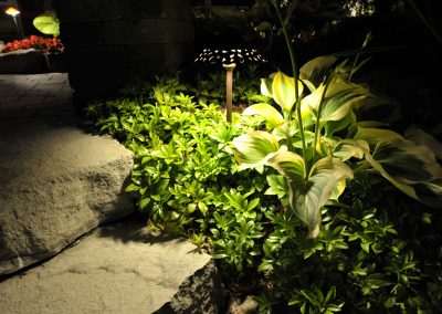 Landscape and Patio Lighting Design