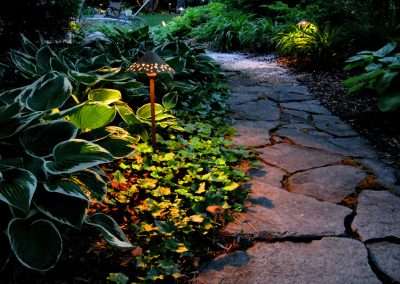 Landscape and Patio Lighting Design