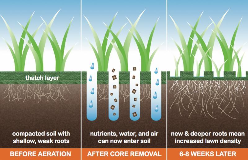 Benefits of Fall Core Aeration