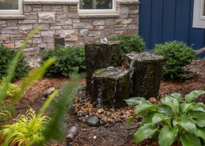 Water Feature