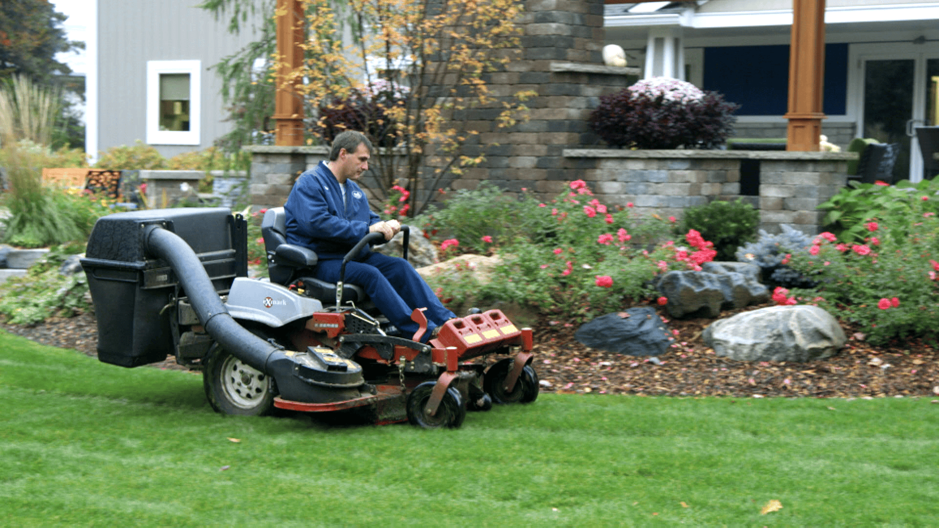quad1D
