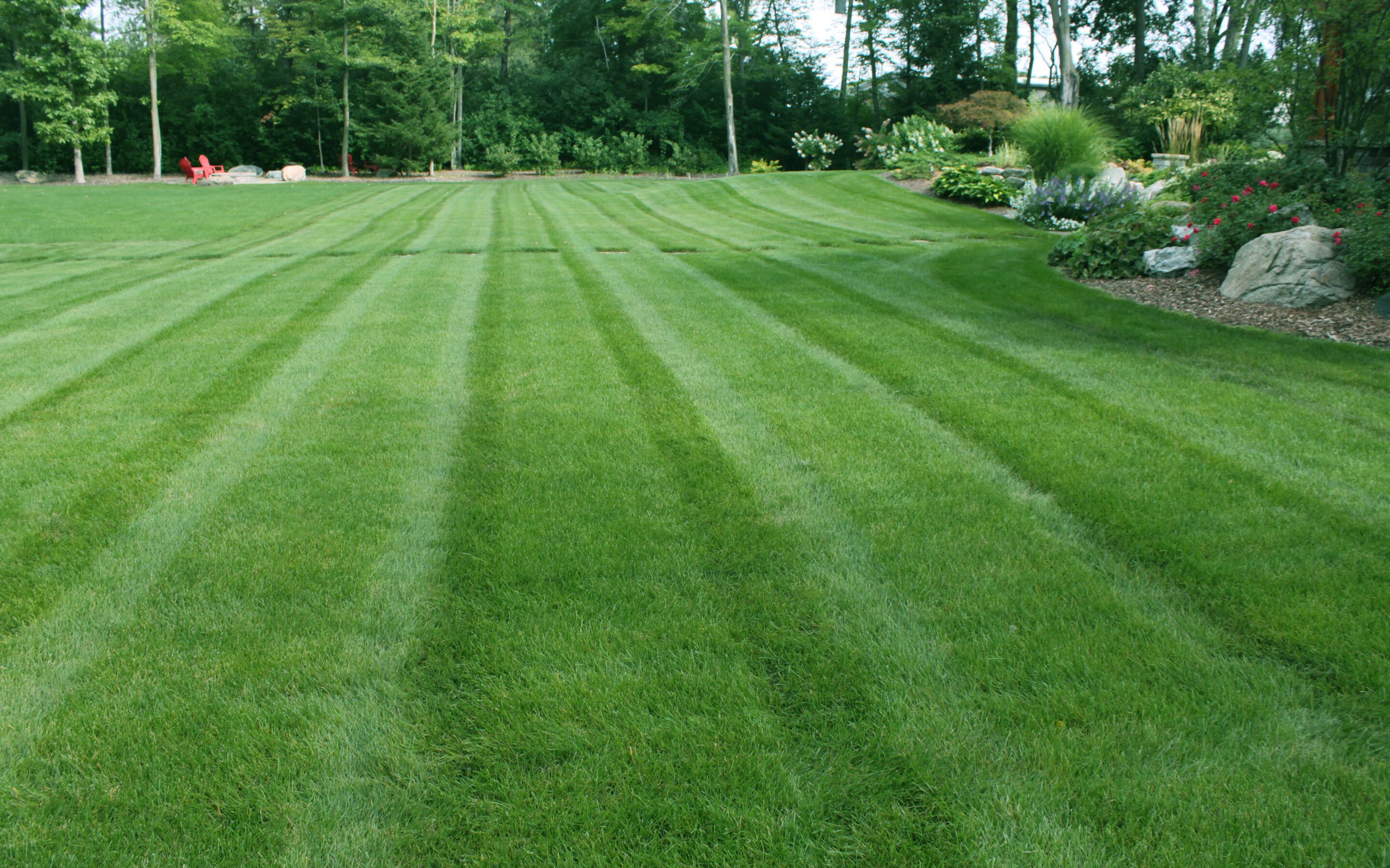 5 Things You Can Do Now for a Healthier Lawn