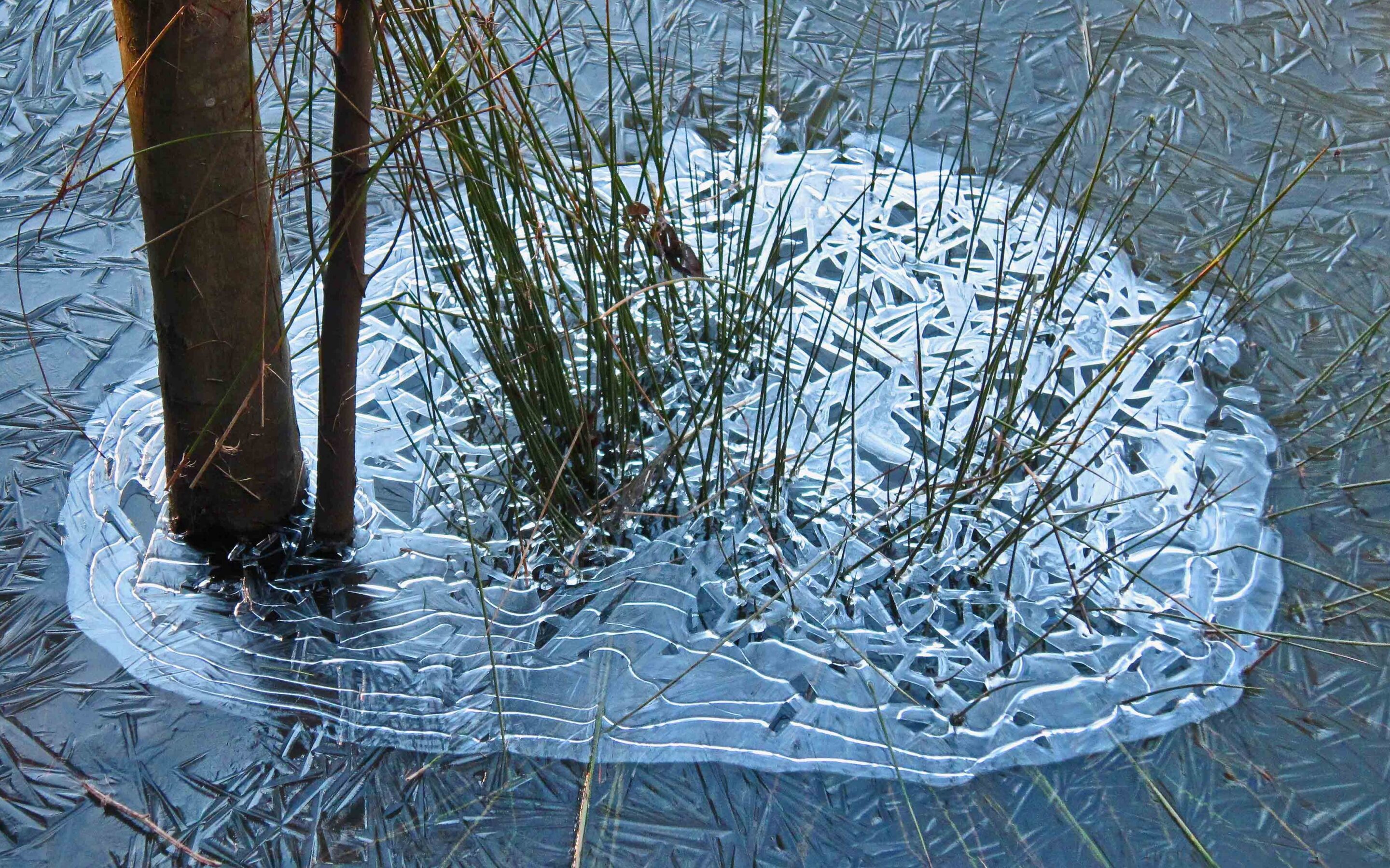 Why Do I Have Frozen Puddles In My Yard?